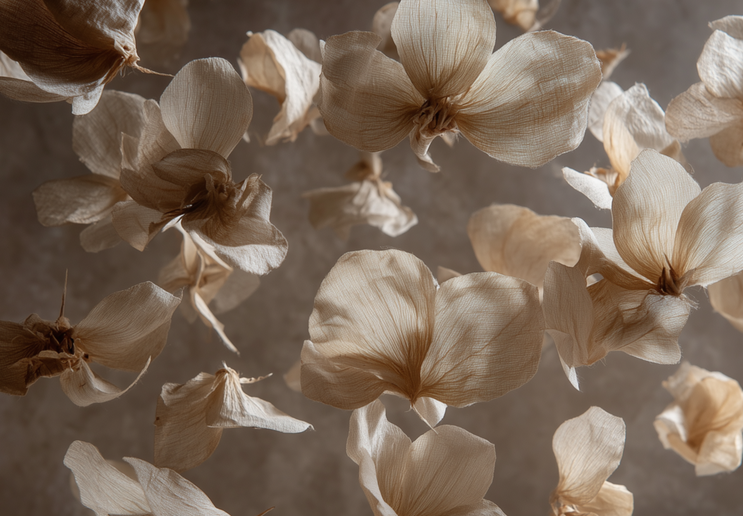 Odd-orchid-background-orchid-1